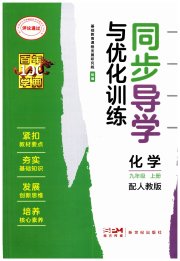 同步导学与优化训练九年级化学人教版