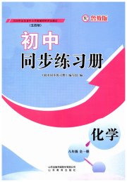 同步练习册山东教育出版社八年级化学鲁教版五四制