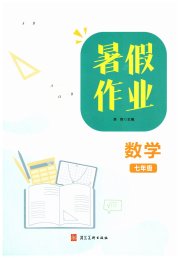 暑假作业河北美术出版社七年级数学人教版