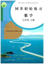 同步轻松练习七年级数学人教版