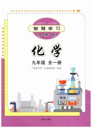 智慧学习九年级化学人教版