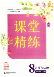 课堂精练八年级道德与法治人教版