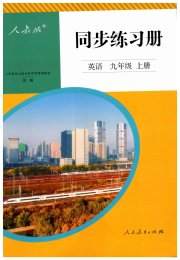 同步练习册九年级英语人教版新疆专版