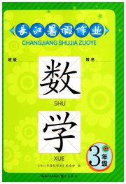 长江暑假作业三年级数学崇文书局