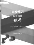 2023年同步练习配套试卷六年级数学下册苏教版