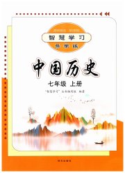 智慧学习七年级中国历史人教版