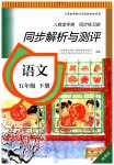 2023年人教金学典同步练习册同步解析与测评五年级语文下册人教版精编版