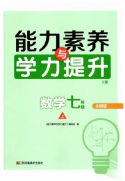 能力素养与学力提升七年级数学人教版