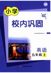 校内巩固五年级英语译林版