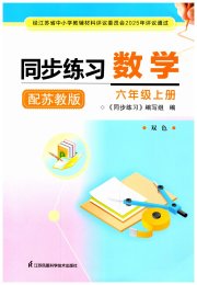 同步练习配套试卷六年级数学苏教版江苏凤凰科学技术出版社
