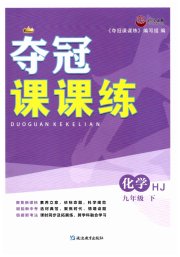 夺冠课课练九年级化学沪教版