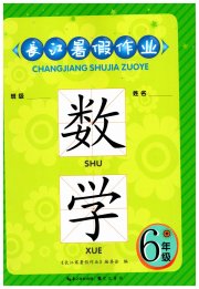 长江暑假作业崇文书局六年级数学
