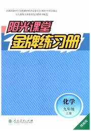 阳光课堂金牌练习册九年级化学人教版精编版