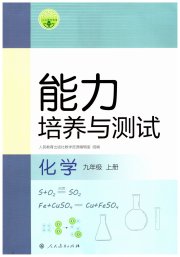 能力培养与测试九年级化学人教版