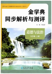 金学典同步解析与测评贵州人民出版社九年级道德与法治人教版