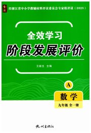 全效学习阶段发展评价九年级数学浙教版