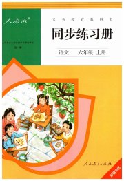同步练习册人民教育出版社六年级语文人教版新疆专版