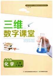 三维数字课堂九年级化学人教版