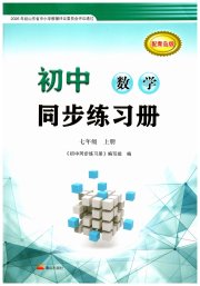 同步练习册泰山出版社七年级数学青岛版
