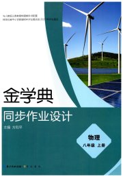 金学典同步作业设计八年级物理人教版