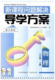 新课程问题解决导学方案八年级物理人教版
