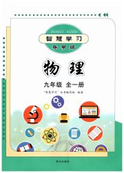 智慧学习九年级物理沪科版