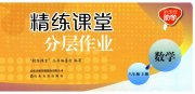 精练课堂分层作业八年级数学北师大版