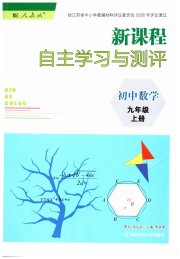 新课程自主学习与测评初中数学九年级人教版