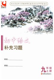 语文补充习题九年级人教版江苏凤凰教育出版社