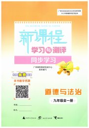 新课程学习与测评同步学习九年级道德与法治人教版