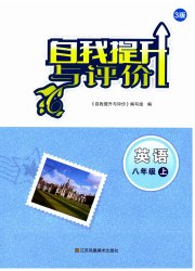 自我提升与评价八年级英语译林版