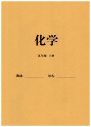 同步练习册智慧拓展九年级化学人教版菏泽专版