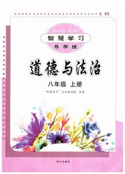 智慧学习八年级道德与法治人教版