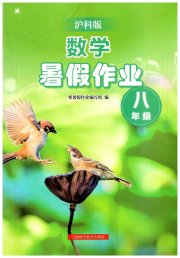 暑假作业上海科学技术出版社八年级数学沪科版