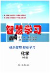 2026年智慧学习假期自主学习九年级化学
