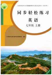 同步轻松练习七年级英语人教版精编版