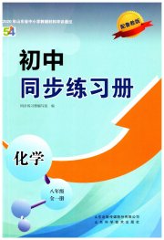 同步练习册山东科学技术出版社八年级化学鲁教版五四制