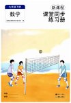 2026年新课程课堂同步练习册九年级数学下册人教版
