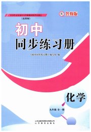 同步练习册山东教育出版社九年级化学鲁教版五四制
