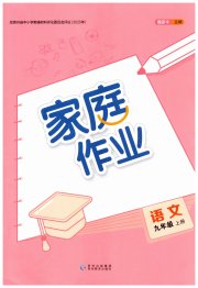 家庭作业九年级语文人教版