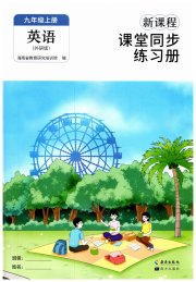 新课程课堂同步练习册九年级英语外研版