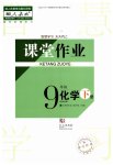 2023年课堂作业九年级化学下册人教版武汉出版社