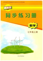 同步练习册七年级数学冀教版河北教育出版社