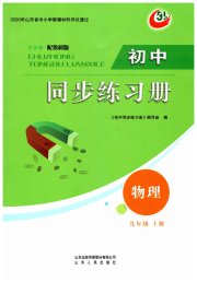 同步练习册山东人民出版社九年级物理鲁科版五四制