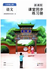 新课程课堂同步练习册九年级语文人教版