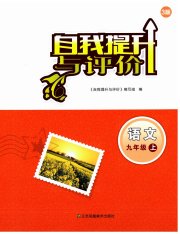 自我提升与评价九年级语文人教版