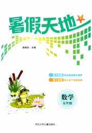 桂壮红皮书暑假天地五年级数学河北少年儿童出版社