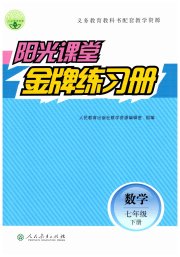阳光课堂金牌练习册七年级数学人教版
