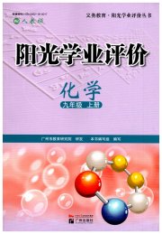 阳光学业评价九年级化学人教版