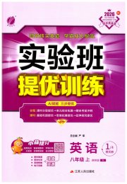 实验班提优训练八年级英语译林版
